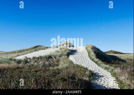 Beach path through dunes, Philbin Beach, Aquinnah, Martha's Vineyard, Massachusetts, USA. Stock Photo