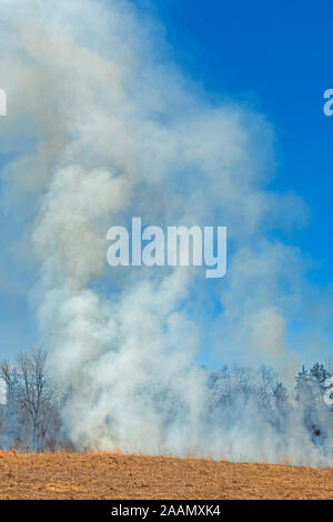 Smoke Rising from a Burning Prairie in Spring Valley Nature Center in Schaumburg, Illinois Stock Photo