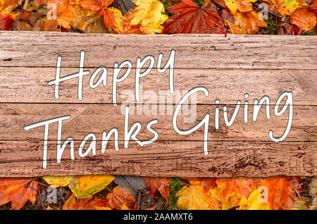 Happy Thanksgiving Wooden Sign with Fall Leaves on Forest Floor Stock Photo