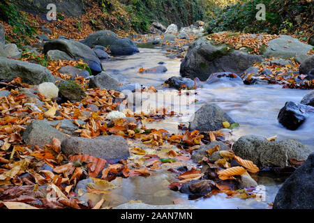 image of long exposure stream with autumn colors in tonya trabzon Stock Photo