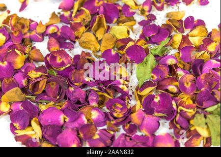 A heap of wilted and dry, red pink and yellow rose petals Stock Photo