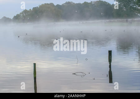 The mist swirls across Bushy Park lake early on an October morning Stock Photo