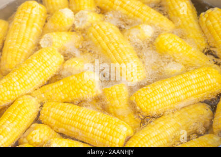 The corn was cooked in boiling water. Stock Photo