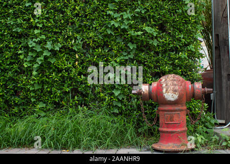 Fire fighting water supply hose Red Stock Photo