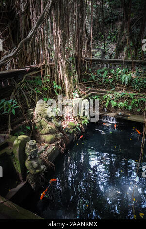 Ganesh statue near a pond in the sacred Monkey Forest, Ubud, Bali, Indonesia Stock Photo