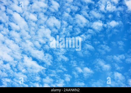 Blue sky with lots small white fleecy clouds - textured background Stock Photo