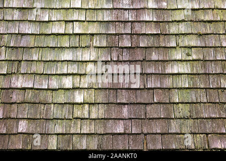 Background from a weathered and mossy wall of wooden shingles Stock Photo