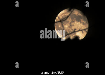 Moon in the dark night. Stock Photo