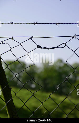 barbed wire fence with a hole in the net, gap in the security system with broken fence Stock Photo