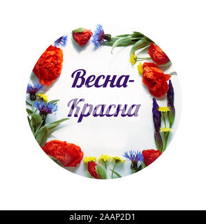 Spring floral composition from poppies, cornflowers, irises, and wild flowers with green leaves, hello spring writing  inside of flowering frame, flat Stock Photo