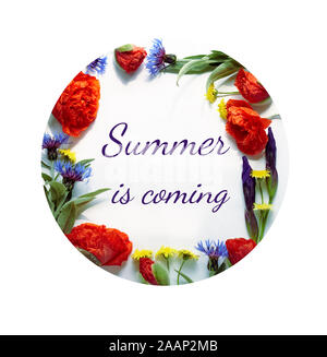Spring floral composition from poppies, cornflowers, irises, and wild flowers with green leaves, hello spring writing  inside of flowering frame, flat Stock Photo