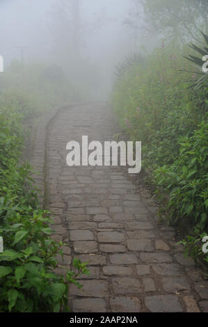 Pune; Maharashtra India; Sept. 2015: Southeast Asia -  Foggy Morning  Pathway;  sinhagad fort  Pune Stock Photo