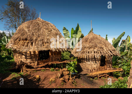 Ethiopia, Rift Valley, Gamo Gofo Omo, Arba Minch, Dorze village, traditional round store houses with woven sides and thatched roof Stock Photo