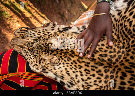 Ethiopia, Rift Valley, Gamo Gofo Omo, Arba Minch, Dorze village, hand on leopard skin Stock Photo