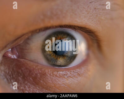 A man with gray eyes looks at the monitor screen, surprise, close-up Stock Photo