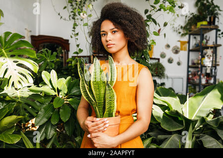 Beautiful woman holding a pot with sansevieria in her small workshop Stock Photo