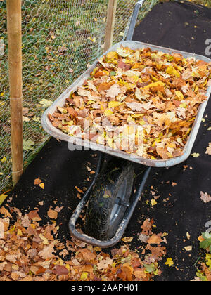 Leaf cage with biodegradable ground cover being filled with leaves to make leaf mold.