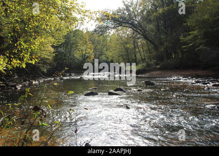The Eno River flowing through a forest in Eno River State Park, North Carolina, USA, on a sunny day Stock Photo