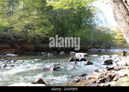 Looking upstream at the Eno River flowing through a forest in Eno River State Park, North Carolina, USA, with a suspension bridge in the background Stock Photo