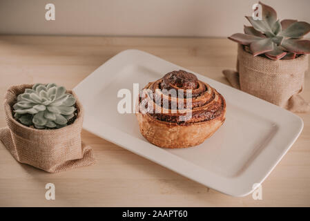 Cinnamon Danish Swirl-classic buttery danish pastry rolled glazed with sugar on dish and two small succulent plant on wooden table. Toned image, retro vintage style. Stock Photo
