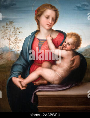Virgin and Child by Andrea del Sarto (1486-1530), oil on panel, 1509/10 Stock Photo