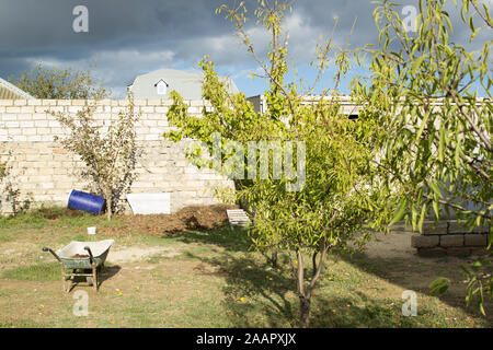Back yard with fruit trees, brick fence and grey clouds in the sky Stock Photo