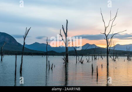 drowned trees in reservoir, Lake Moogerah, Queensland Stock Photo