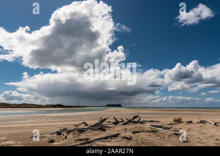 The Nut, Stanley from Peggs Conservation area beach Stock Photo