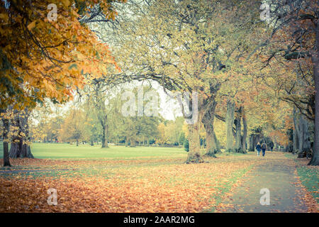 Beautiful caucasian elderly couple in the park in autumn Stock Photo
