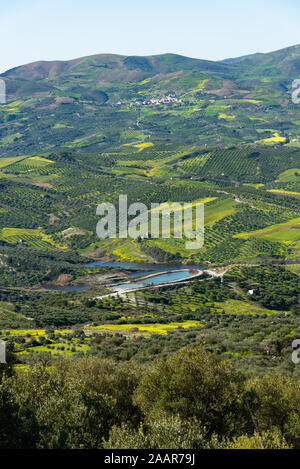 Unique panoramic aerial view of Archanes rural region landscape. Green meadows, olive tree groves, vineyards and lake, in spring. Heraklion, Crete, Gr Stock Photo