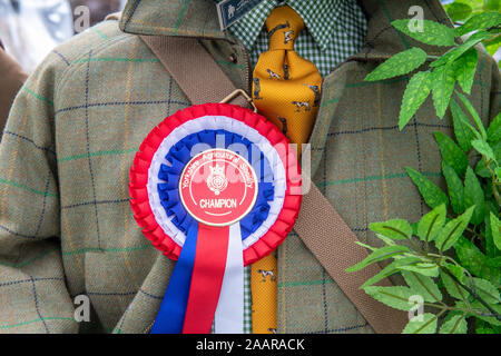 An award winning jacket at the Great Yorkshire Show, Harrogate, Yorkshire, UK Stock Photo