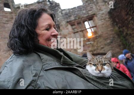 Ludlow, Shropshire, UK, 23rd November 2019. Ludlow Medieval Christmas Fayre. Theresa Pope from Uttoxeter who sheltered her six year old cat Ruby from the rain. Stock Photo