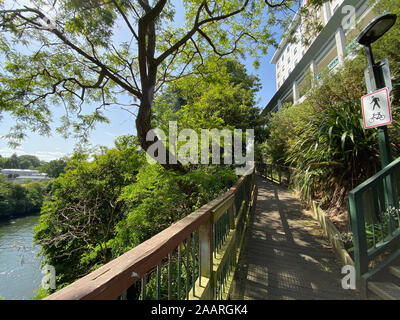 Waikato River trail through central Hamilton, New Zealand Stock Photo