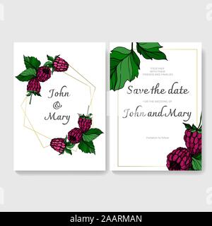 Vector Raspberry healthy food isolated. Black and white engraved ink art. Wedding background card decorative border. Stock Vector