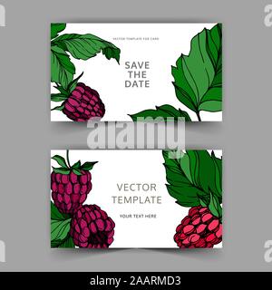 Vector Raspberry healthy food isolated. Black and white engraved ink art. Wedding background card decorative border. Stock Vector