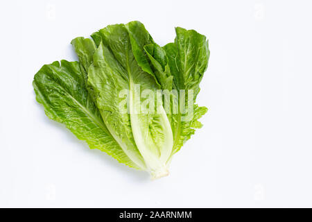 Fresh romaine lettuce on white background. Stock Photo