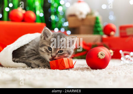kitty cat christmas