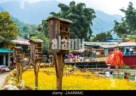 Little bird boxes line fields full of bright yellow flowers in the small mountain village of Cat Cat in Northern Vietnam, near Sapa Stock Photo