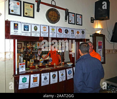 Appleton Thorn Village Hall Beer Festival, ,Warrington,Cheshire, England, WA4 4RT - bar with multiple ales Stock Photo