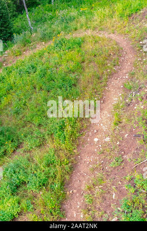 Close up of a dirt trail in the mountain of Park City Utah on a sunny summer day Stock Photo