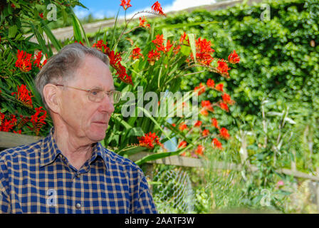 Sad elderly man sits alone on a sunny day Stock Photo