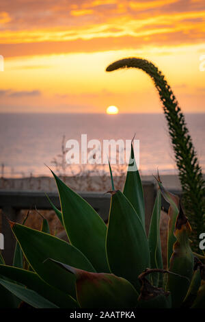 Sun setting on the horizon along Santa Monica Beach in Los Angeles, California. Stock Photo