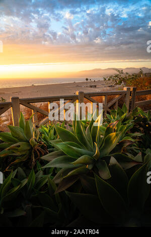 Sunset overlook of Santa Monica Beach in Los Angeles, California. Stock Photo