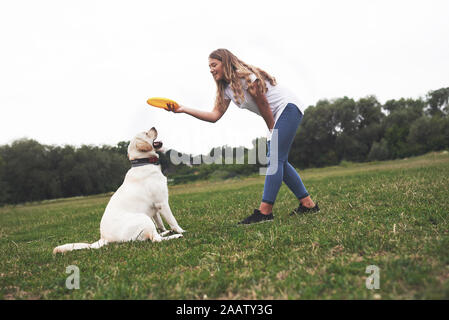Young woman playing with her labrador in a park. She is throws the yellow frisbee disc. Dog tries to catch it Stock Photo