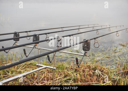 Carp fishing rods standing on special tripods. Expensive coils and