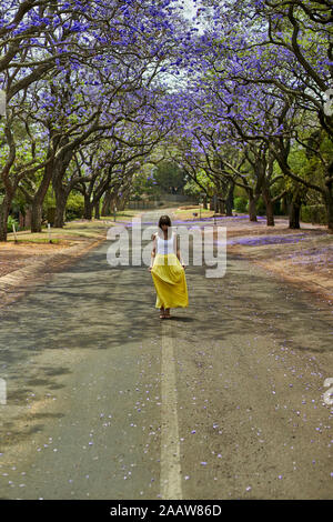 Woman walking in the middle of a street full of jacaranda trees in bloom, Pretoria, South Africa Stock Photo