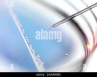 Close-up of samples pipetting in petri dish for experiment at laboratory Stock Photo