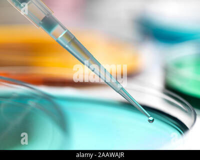 Close-up of samples pipetting in petri dish containing agar jelly at laboratory Stock Photo