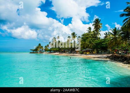 Scenic view of palm trees at Pigeon Point Beach against cloudy sky, Trinidad And Tobago, Caribbean Stock Photo