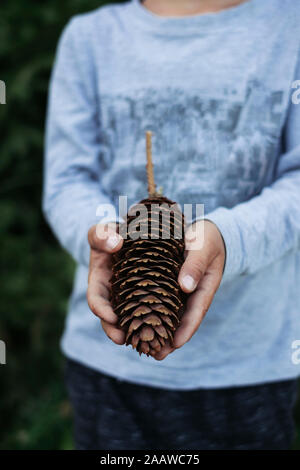 Midsection of boy holding big pine cone in Tara National Park, Serbia Stock Photo